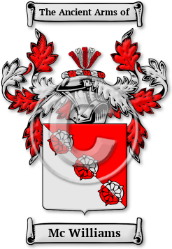 Mc Williams Family Crest Download (JPG) Legacy Series - 600 DPI